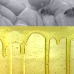 Bees at a still edge: Trish Adams, by Michele Helmrich 